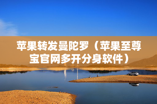 苹果转发曼陀罗（苹果至尊宝官网多开分身软件）