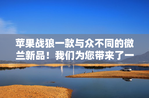 苹果战狼一款与众不同的微兰新品！我们为您带来了一种全新微信分身多开的使用体验