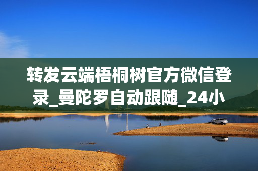 转发云端梧桐树官方微信登录_曼陀罗自动跟随_24小时在线抢红包_自动收款
