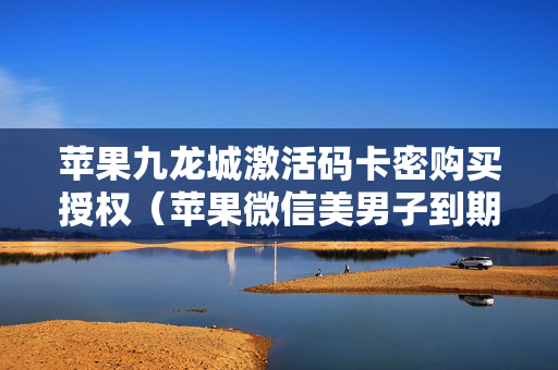 苹果九龙城激活码卡密购买授权（苹果微信美男子到期了怎么续费）