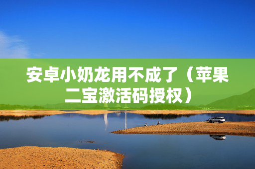 安卓小奶龙用不成了（苹果二宝激活码授权）