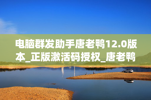 电脑群发助手唐老鸭12.0版本_正版激活码授权_唐老鸭12.0版本官网