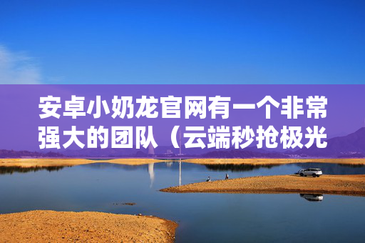 安卓小奶龙官网有一个非常强大的团队（云端秒抢极光秒喵，云端秒抢微利秒，云端秒抢吉祥云）