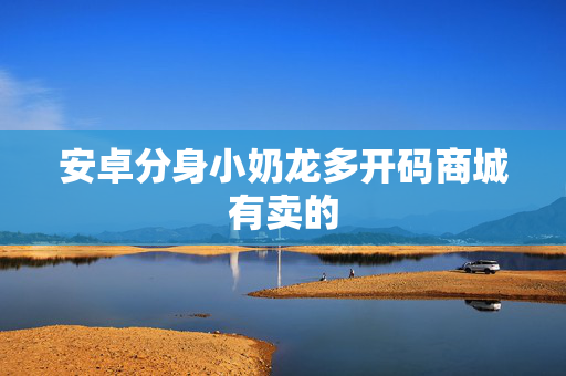 安卓分身小奶龙多开码商城有卖的