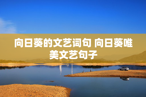 向日葵的文艺词句 向日葵唯美文艺句子