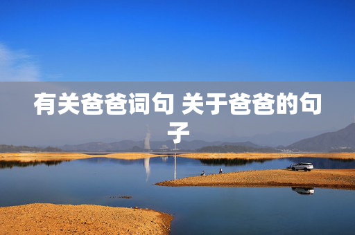 有关爸爸词句 关于爸爸的句子