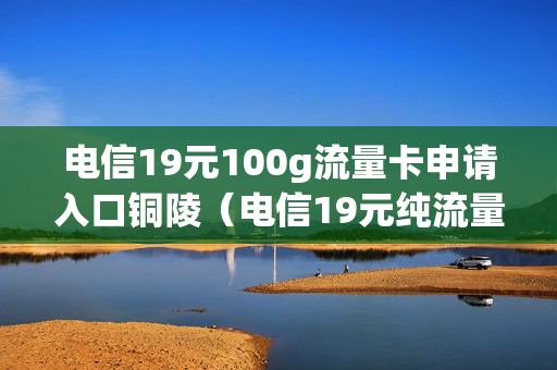 电信19元100g流量卡申请入口铜陵（电信19元纯流量卡办理）
