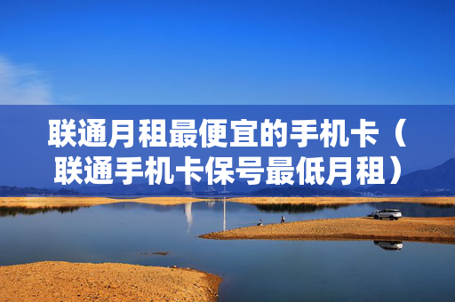 联通月租最便宜的手机卡（联通手机卡保号最低月租）