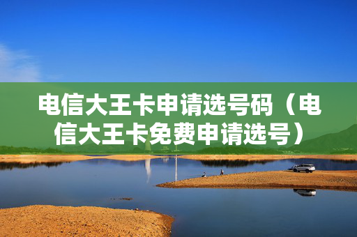 电信大王卡申请选号码（电信大王卡免费申请选号）