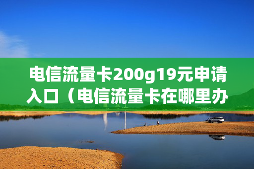 电信流量卡200g19元申请入口（电信流量卡在哪里办理）