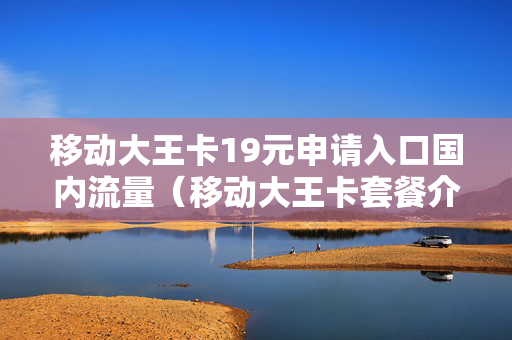 移动大王卡19元申请入口国内流量（移动大王卡套餐介绍19元怎么办理）