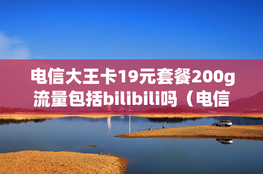 电信大王卡19元套餐200g流量包括bilibili吗（电信大王卡19元套餐多少流量）