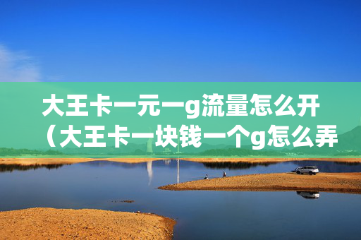 大王卡一元一g流量怎么开（大王卡一块钱一个g怎么弄）