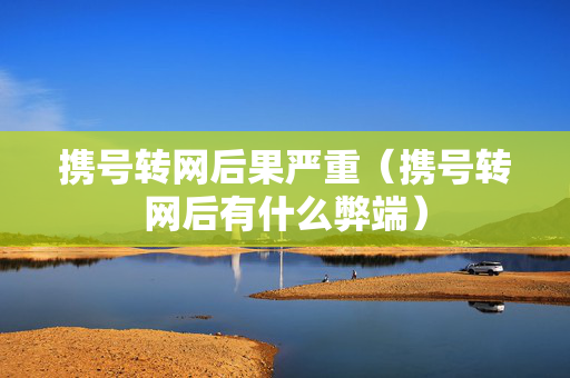 携号转网后果严重（携号转网后有什么弊端）