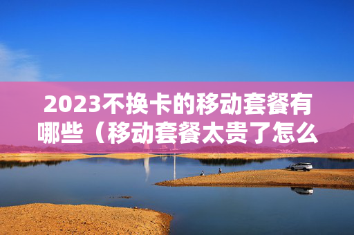 2023不换卡的移动套餐有哪些（移动套餐太贵了怎么改便宜的）