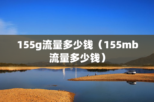 155g流量多少钱（155mb流量多少钱）