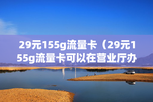 29元155g流量卡（29元155g流量卡可以在营业厅办吗）