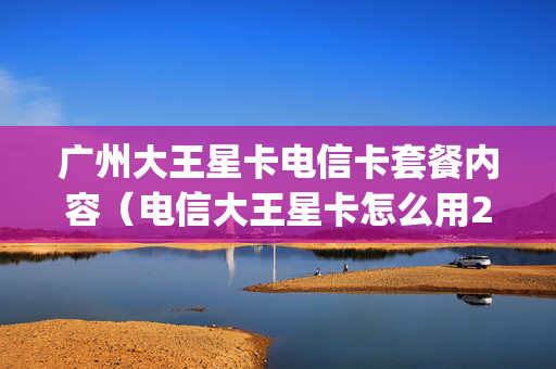 广州大王星卡电信卡套餐内容（电信大王星卡怎么用200g呀）