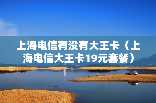 上海电信有没有大王卡（上海电信大王卡19元套餐）