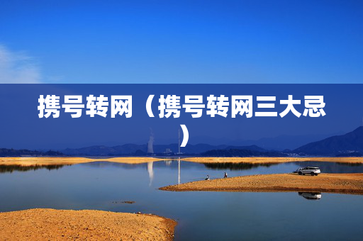 携号转网（携号转网三大忌）