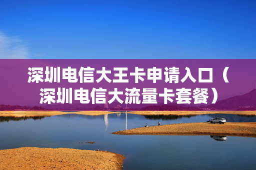 深圳电信大王卡申请入口（深圳电信大流量卡套餐）