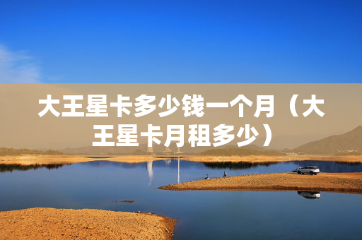 大王星卡多少钱一个月（大王星卡月租多少）