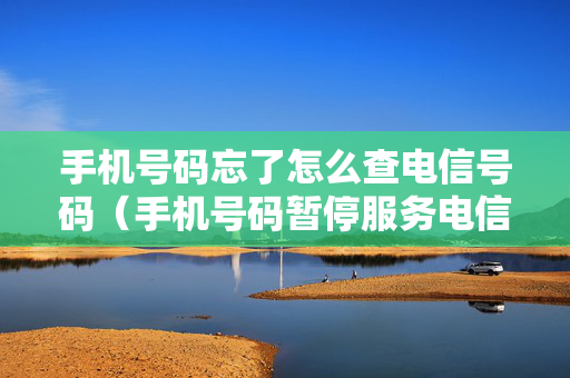 手机号码忘了怎么查电信号码（手机号码暂停服务电信怎么恢复）