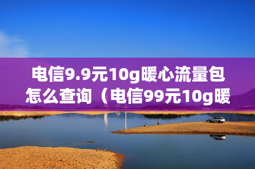 电信9.9元10g暖心流量包怎么查询（电信99元10g暖心流量包短信怎么办理）