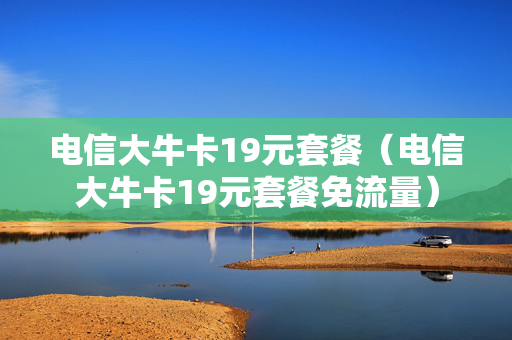 电信大牛卡19元套餐（电信大牛卡19元套餐免流量）