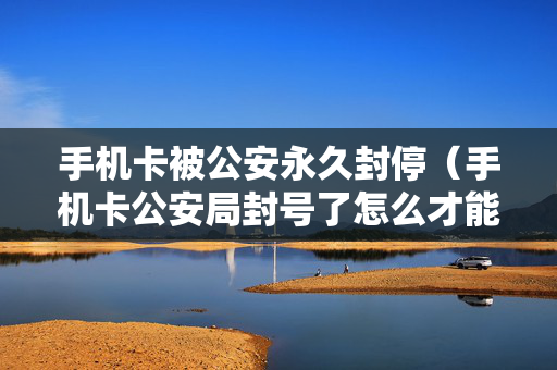 手机卡被公安永久封停（手机卡公安局封号了怎么才能知道犯什么法了）