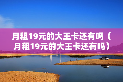 月租19元的大王卡还有吗（月租19元的大王卡还有吗）