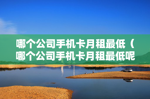 哪个公司手机卡月租最低（哪个公司手机卡月租最低呢）