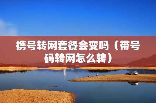 携号转网套餐会变吗（带号码转网怎么转）