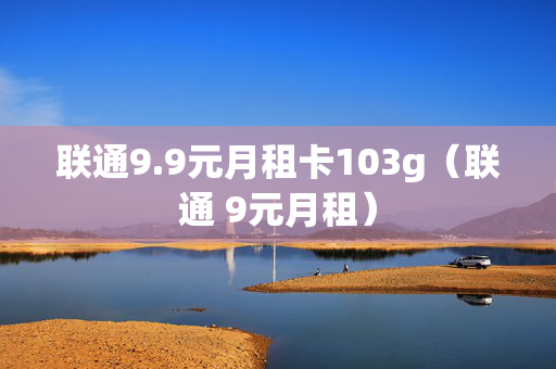 联通9.9元月租卡103g（联通 9元月租）