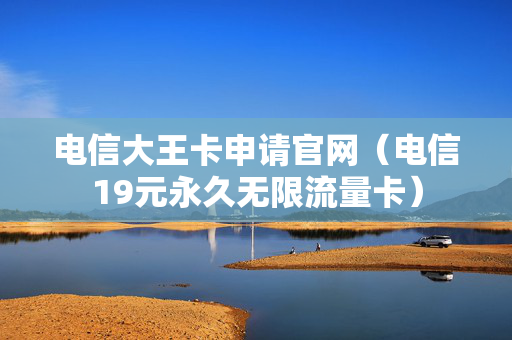 电信大王卡申请官网（电信19元永久无限流量卡）