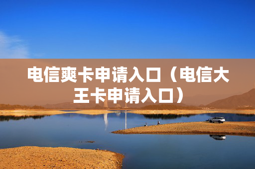 电信爽卡申请入口（电信大王卡申请入口）