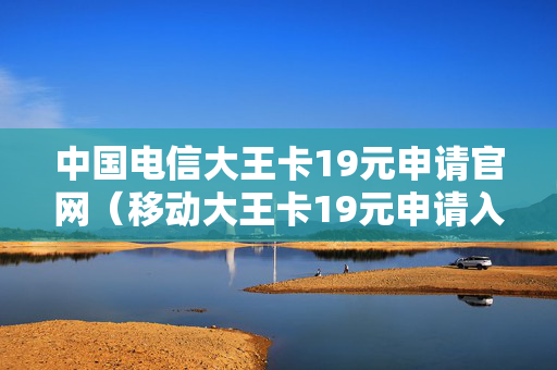 中国电信大王卡19元申请官网（移动大王卡19元申请入口）