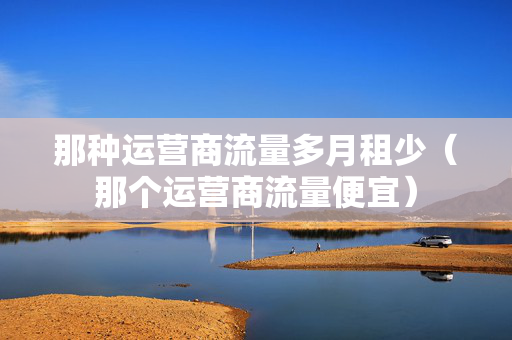 那种运营商流量多月租少（那个运营商流量便宜）