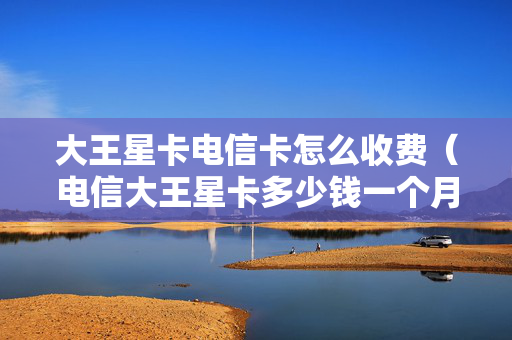 大王星卡电信卡怎么收费（电信大王星卡多少钱一个月）