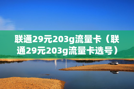 联通29元203g流量卡（联通29元203g流量卡选号）