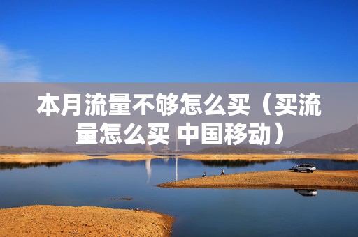 本月流量不够怎么买（买流量怎么买 中国移动）