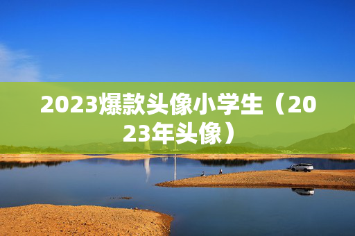 2023爆款头像小学生（2023年头像）