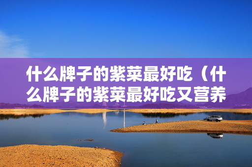 什么牌子的紫菜最好吃（什么牌子的紫菜最好吃又营养）
