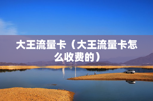 大王流量卡（大王流量卡怎么收费的）