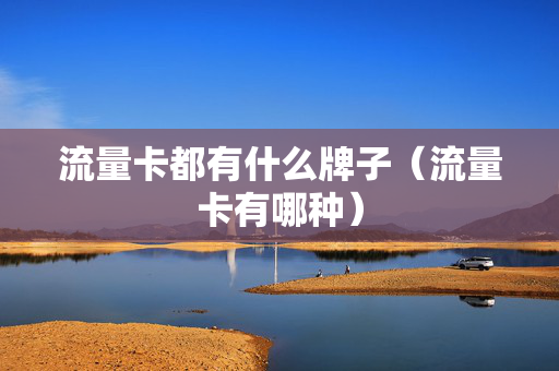 流量卡都有什么牌子（流量卡有哪种）