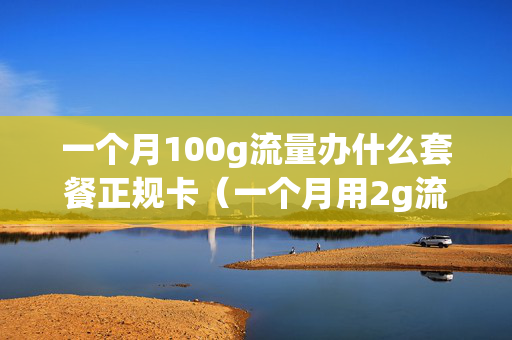 一个月100g流量办什么套餐正规卡（一个月用2g流量办什么套餐）