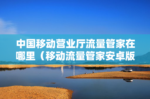 中国移动营业厅流量管家在哪里（移动流量管家安卓版下载）