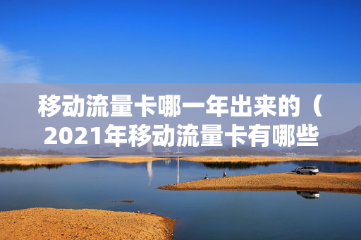 移动流量卡哪一年出来的（2021年移动流量卡有哪些）