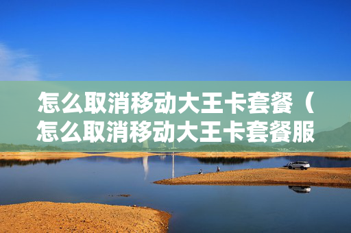 怎么取消移动大王卡套餐（怎么取消移动大王卡套餐服务）