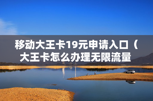 移动大王卡19元申请入口（大王卡怎么办理无限流量 19元）